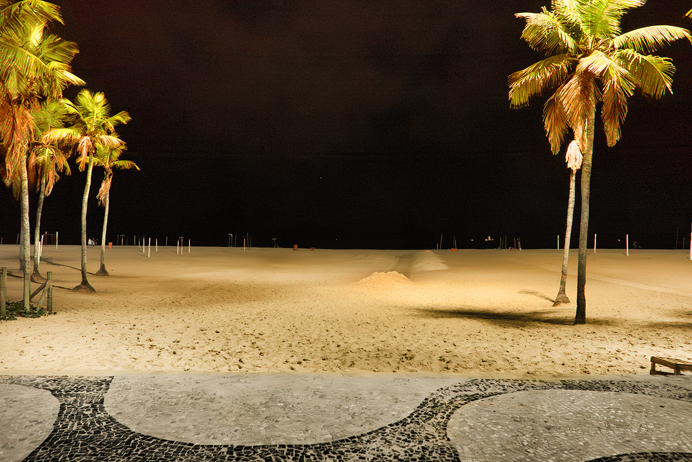 PALMERAS Y PRAJA nk - L1001229 kopiera